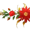 🌺