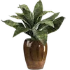 🌿