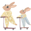 🐰