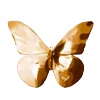 🦋