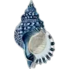 🐚