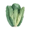 🥬