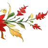 🌺