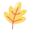 🍁