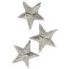 🌟