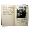 🤩