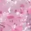 🌸