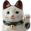 🐱