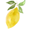 🍋