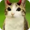🫥