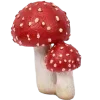 🍄