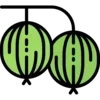 🍈