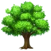 🌳