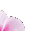 ⭐