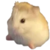 🐹