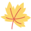 🍁