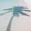 🏝️