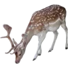 🦌