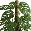 2️⃣
