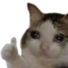 🥺