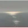 🌫️