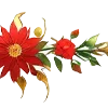 🌺