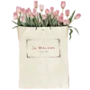 🌸
