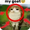 🫥
