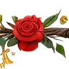 🌹