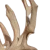🦌
