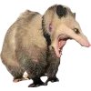 🫥