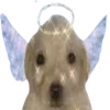😇