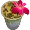 🌺