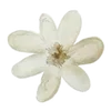 🌸