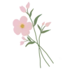 🌸