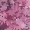 🌸
