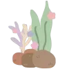 🪸