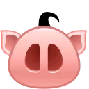 🐽