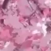 🌸