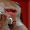 🆗
