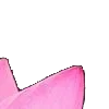 ⭐