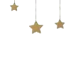 ⭐️