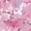 🌸