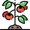 🍅