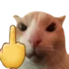 🖕
