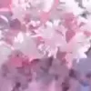 ⭐
