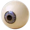 👁