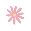 🌸
