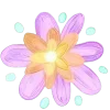 🌸
