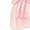 💗